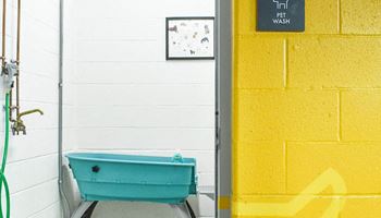 a blue tub sitting next to a yellow wall
